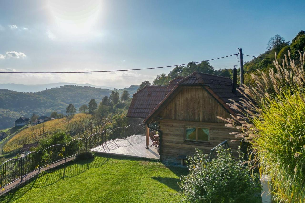 Vineyard Chalet Hansel And Gretel - Happy Rentals Otočec Esterno foto