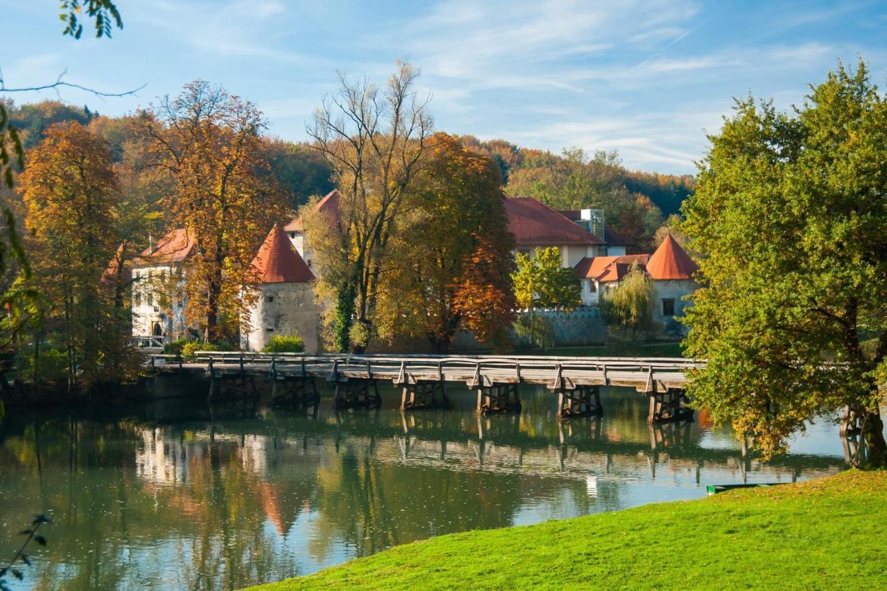 Vineyard Chalet Hansel And Gretel - Happy Rentals Otočec Esterno foto